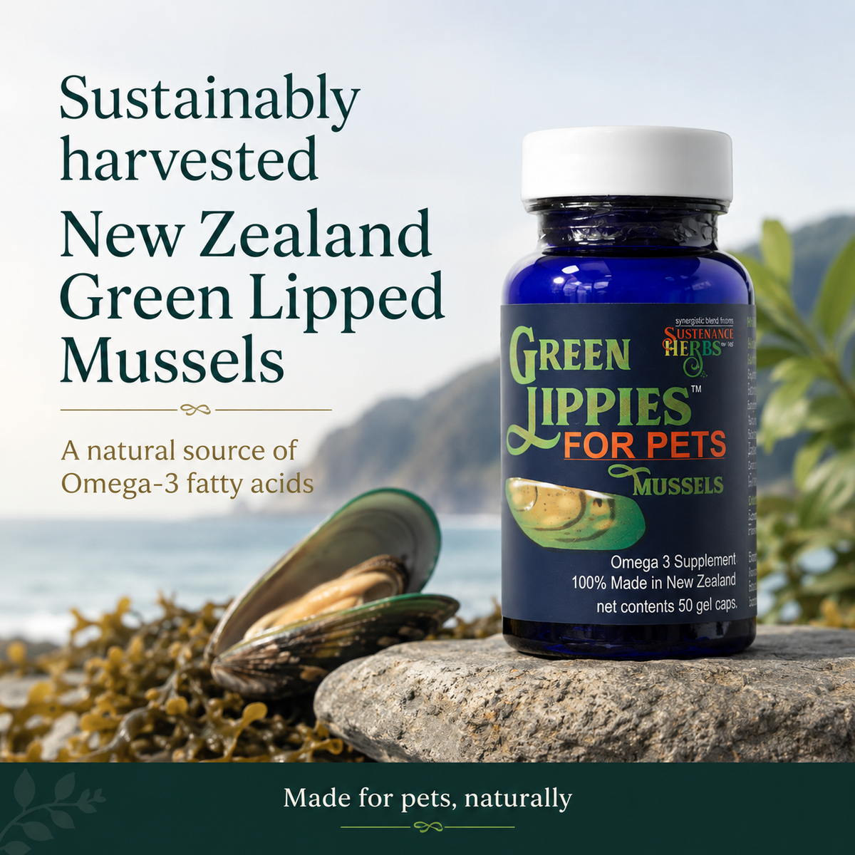 Green Lipped Mussel Oil product image 2