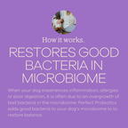 Perfect Probiotics