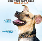 Bully Stick Dog Treats product image 4