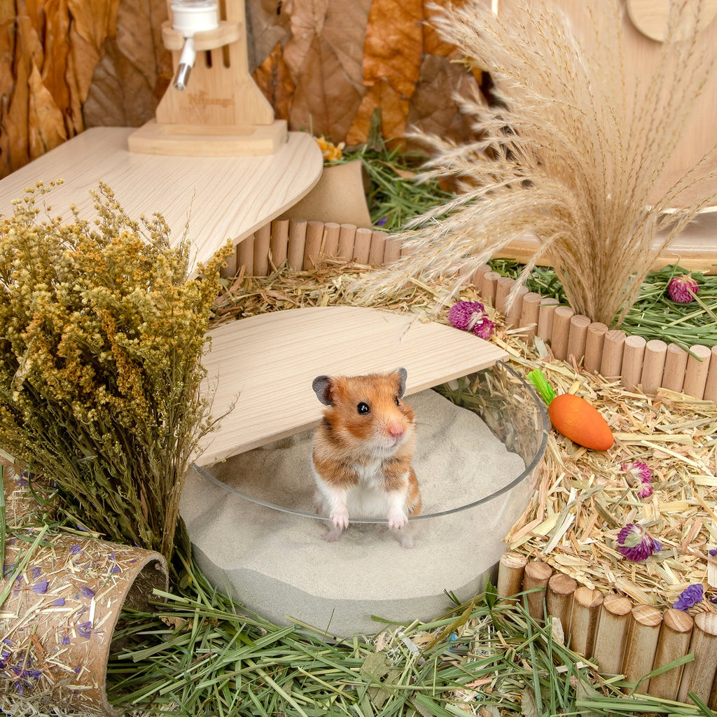 Hamster Bathing Sand product image 6