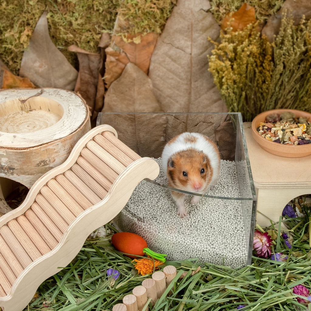 Hamster Bathing Sand product image 12