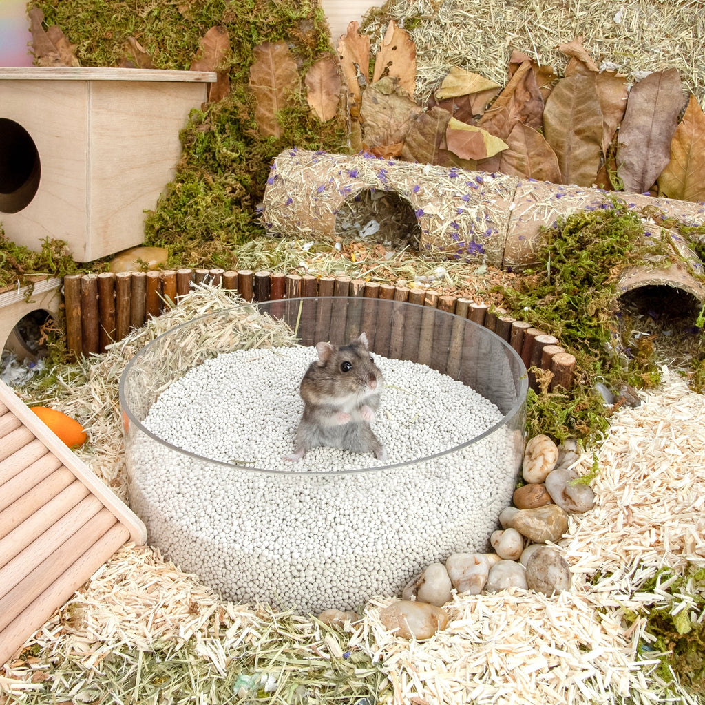 Hamster Bathing Sand product image 13