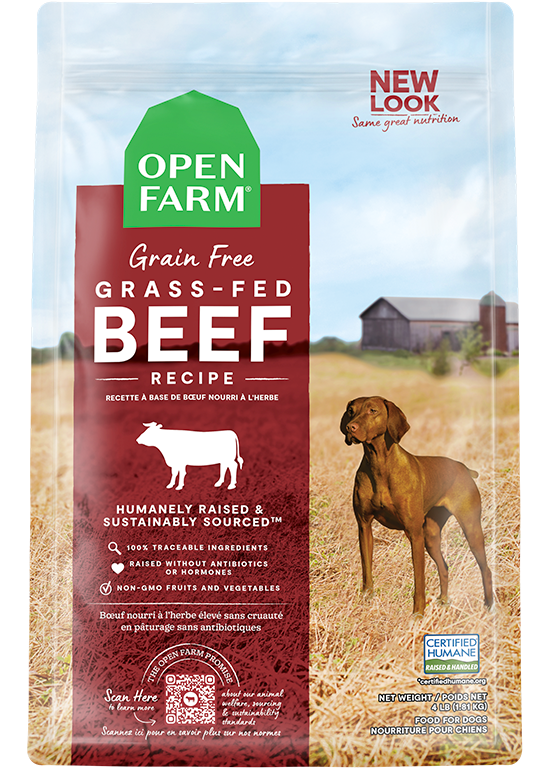 Dog Food product image 1