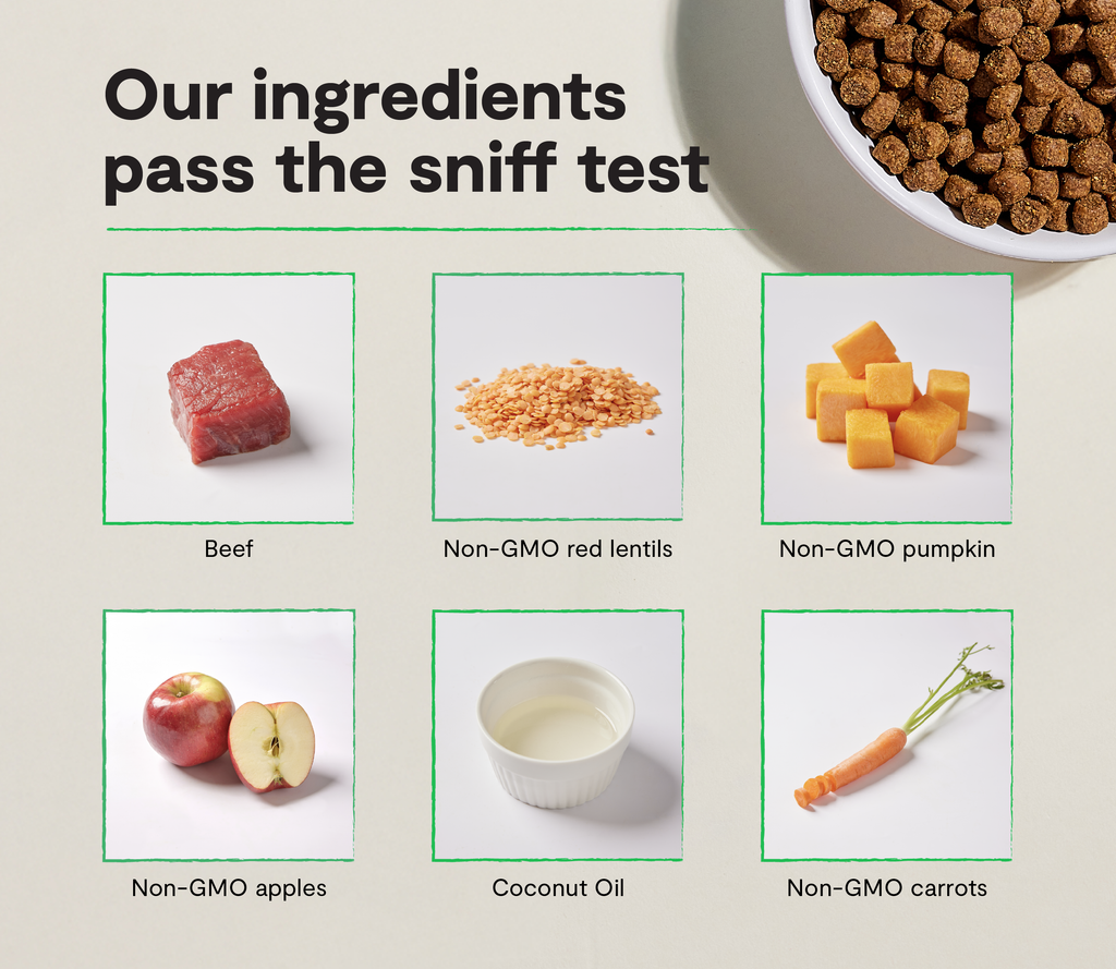 Dog Food product image 3