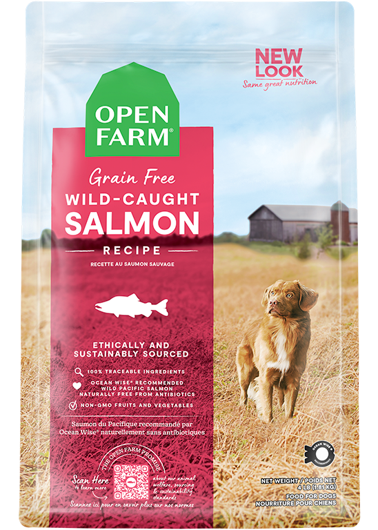 Dry Dog Food product image 1