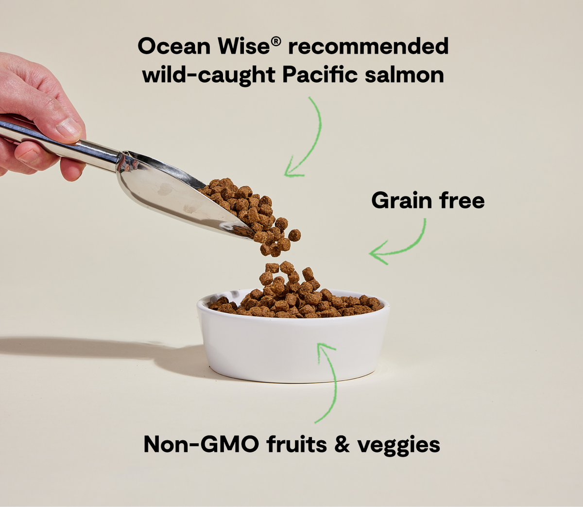 Dry Dog Food product image 5