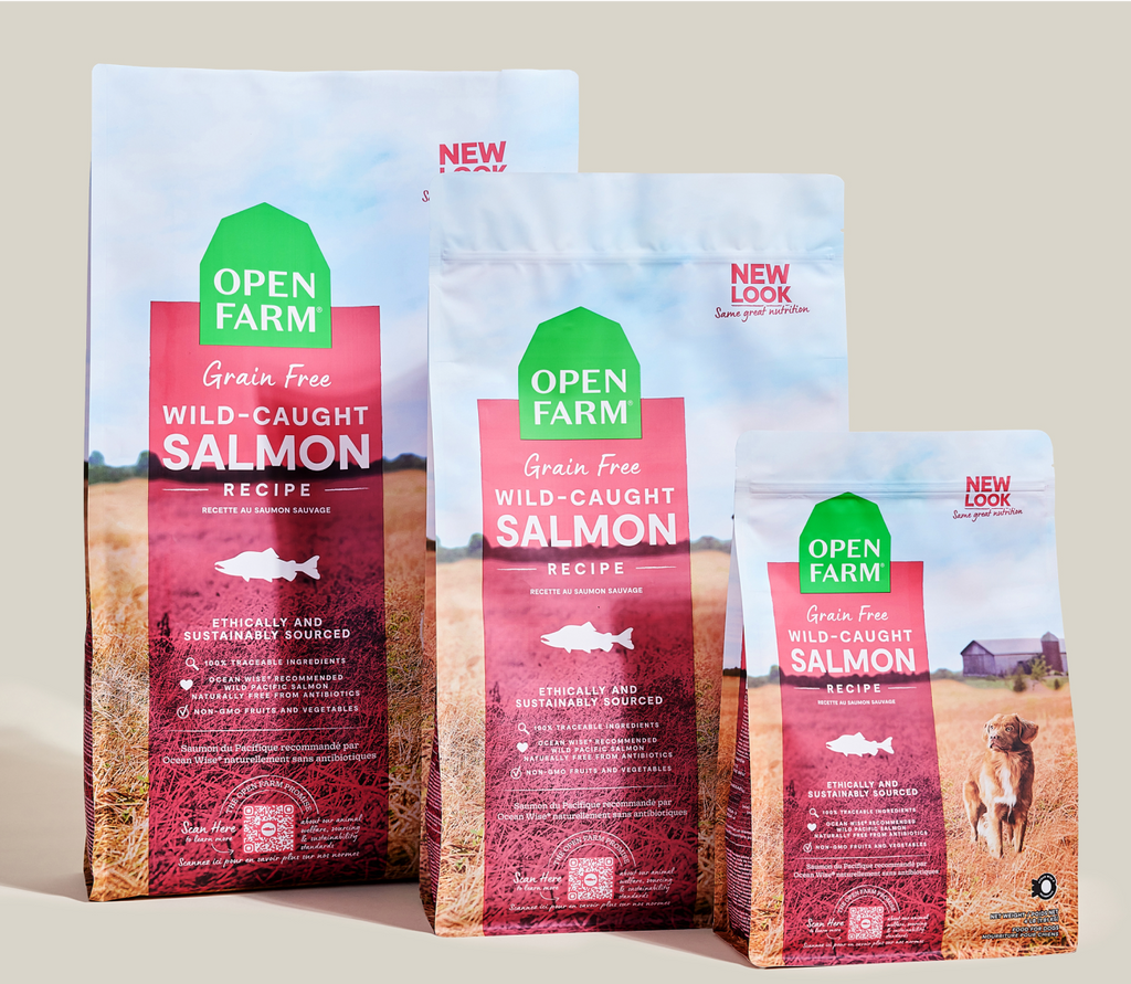 Dry Dog Food product image 8