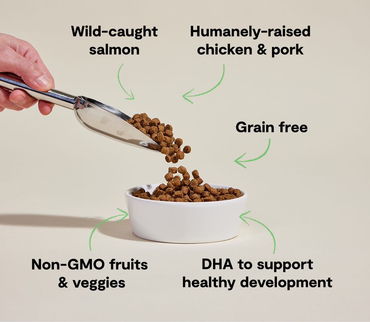 Dry Puppy Food product image 5