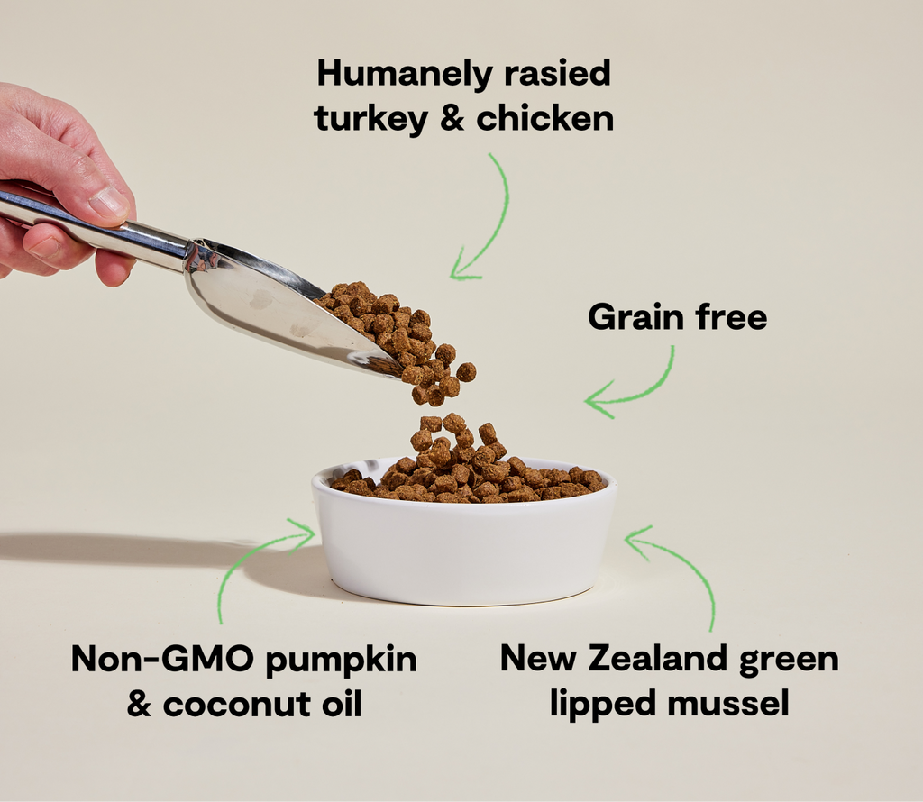 Dry Dog Food product image 5
