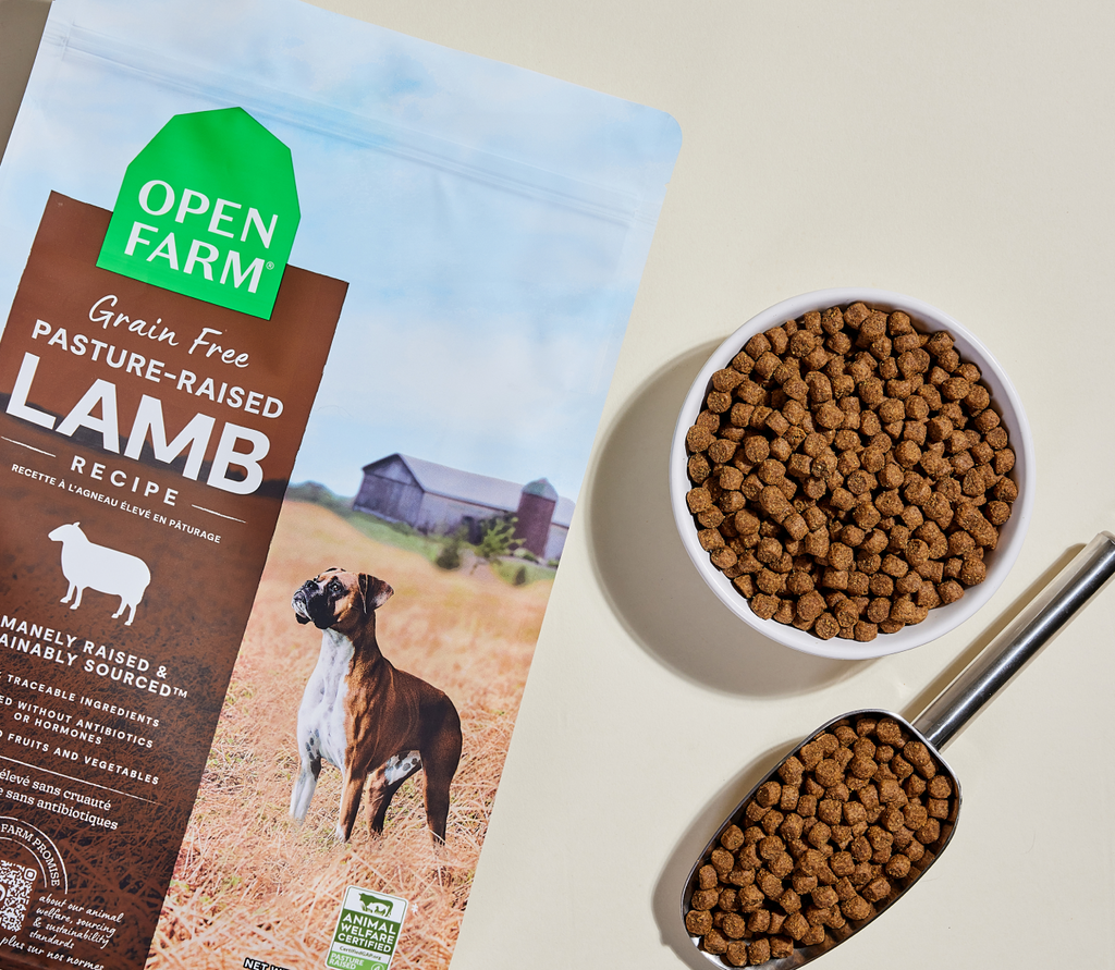Dry Dog Food product image 6