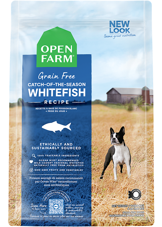 Dry Dog Food product image 1