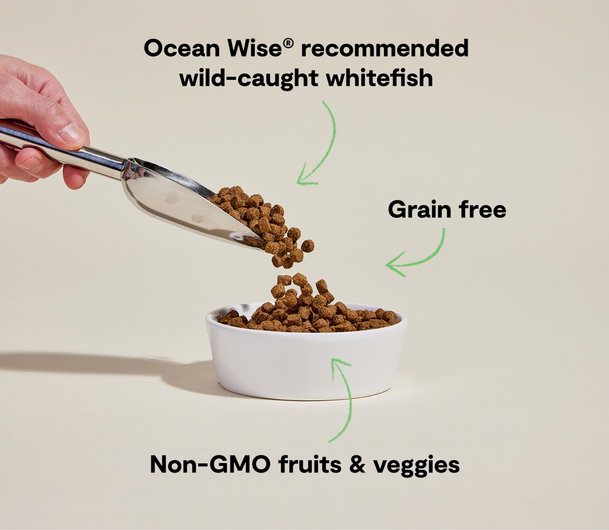 Dry Dog Food product image 5