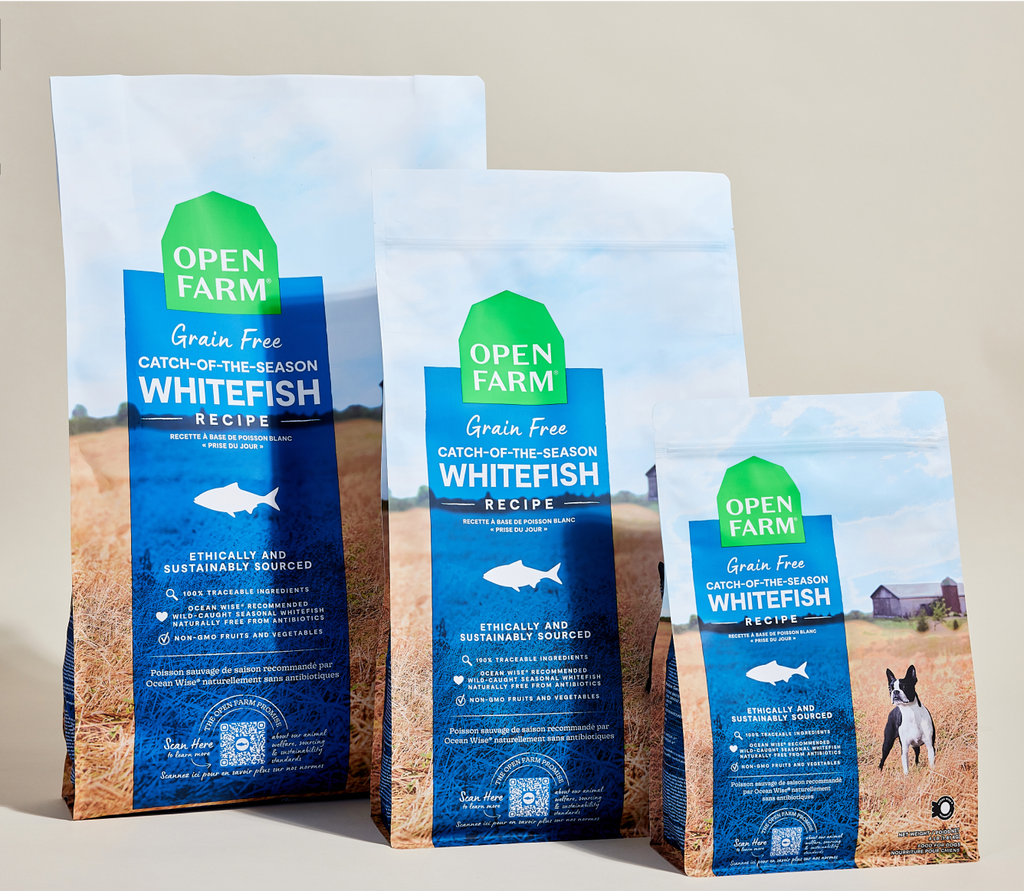 Dry Dog Food product image 8