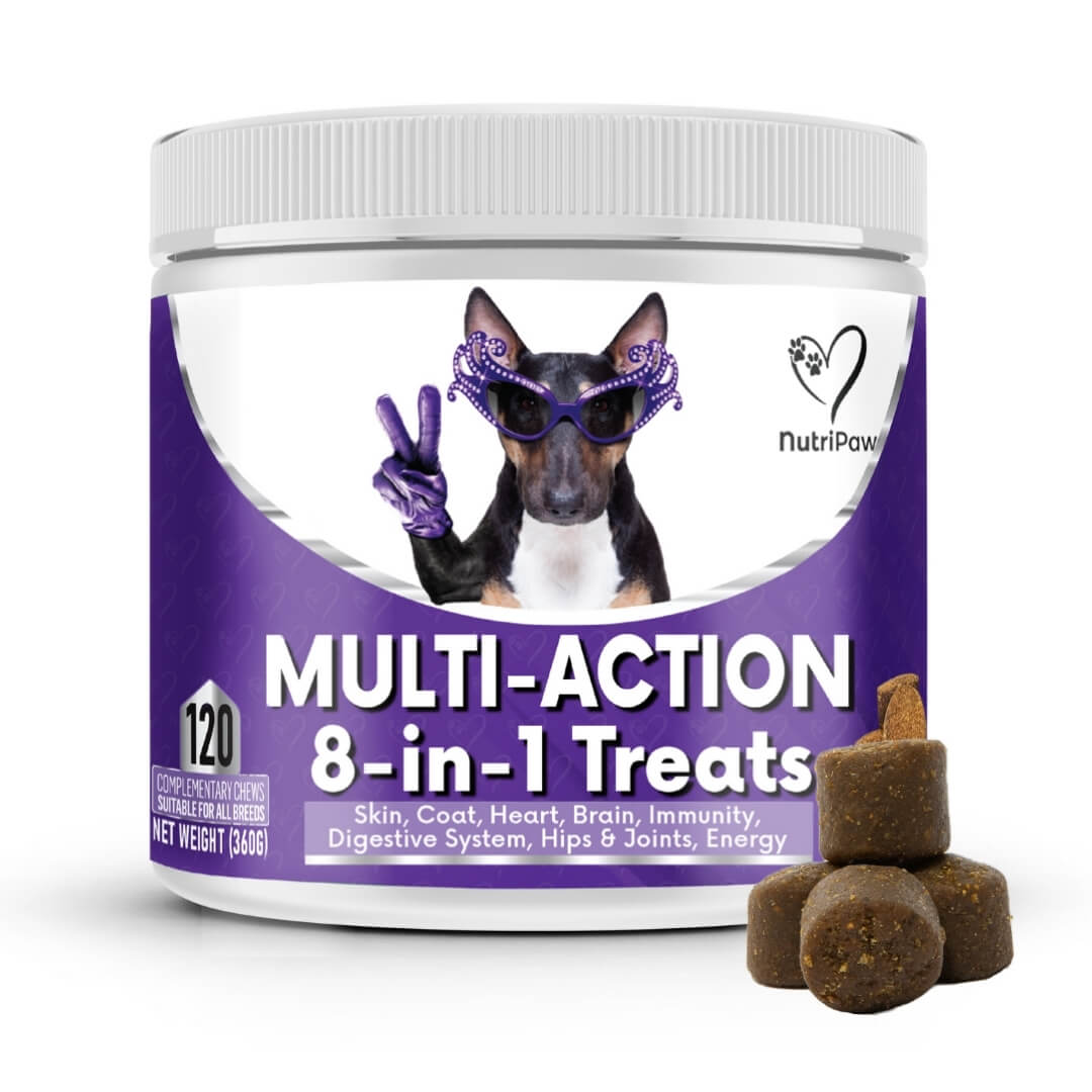 Dog Treats product image 1