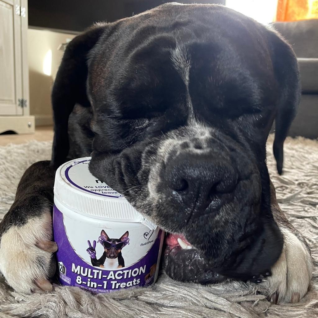 Dog Treats product image 6