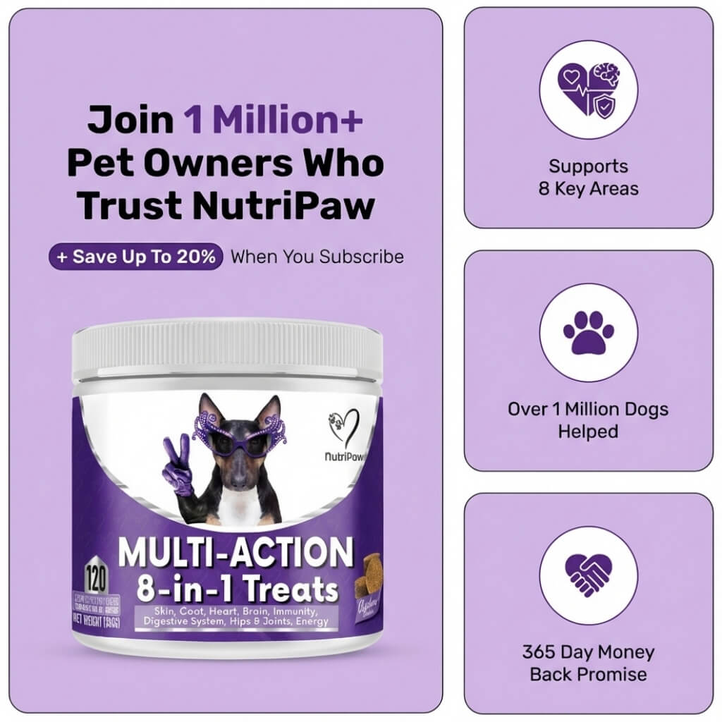 Dog Treats product image 8