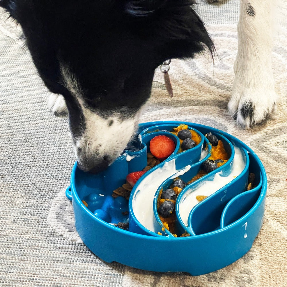 Slow Feeder Bowl product image 4