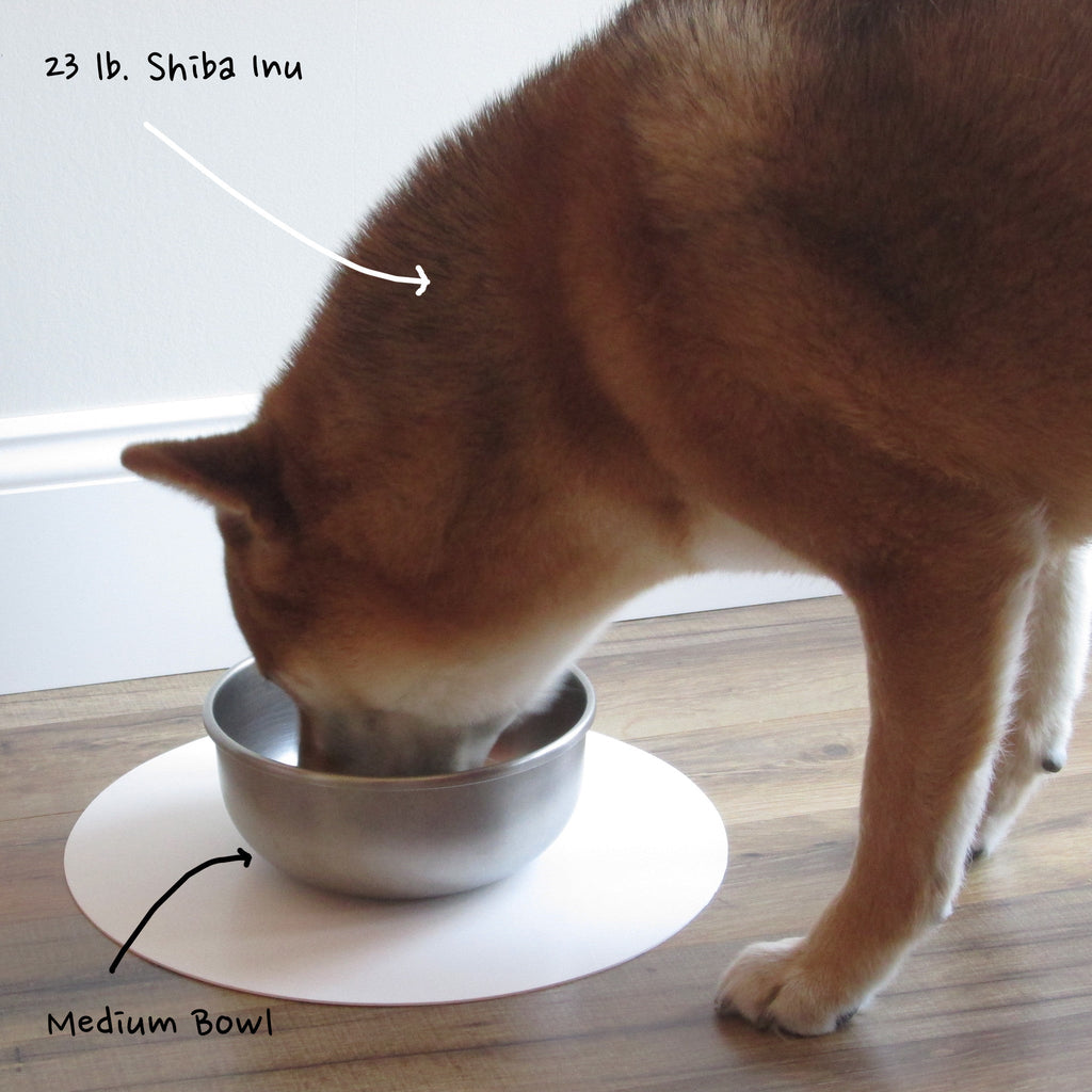 Stainless Steel Dog Bowl product image 15