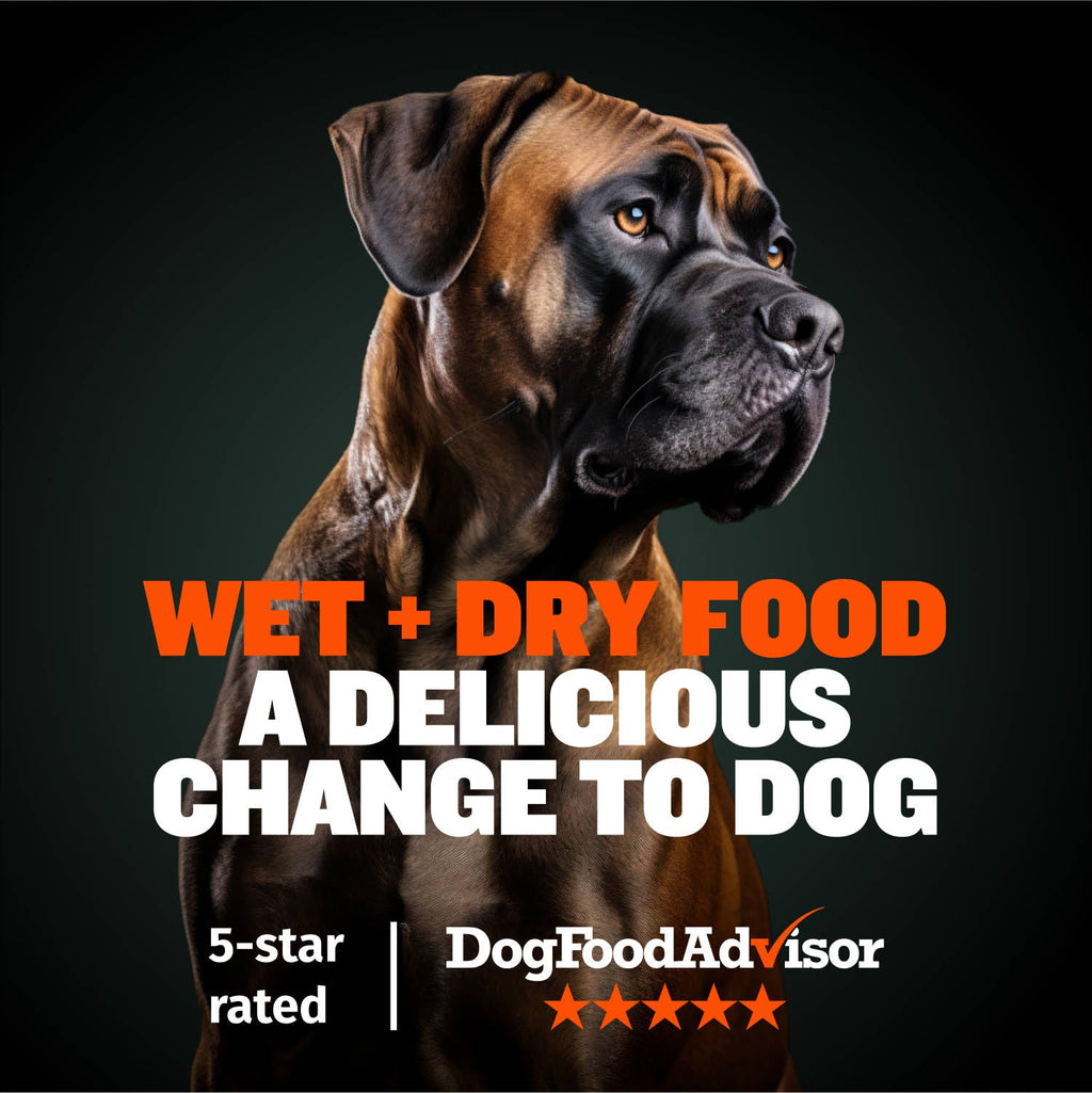 Dry & Wet Dog Food Combo product image 2