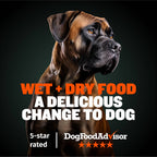 Dry & Wet Dog Food Combo product image 2