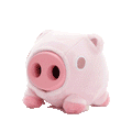 Dog Enrichment Toy product image 1