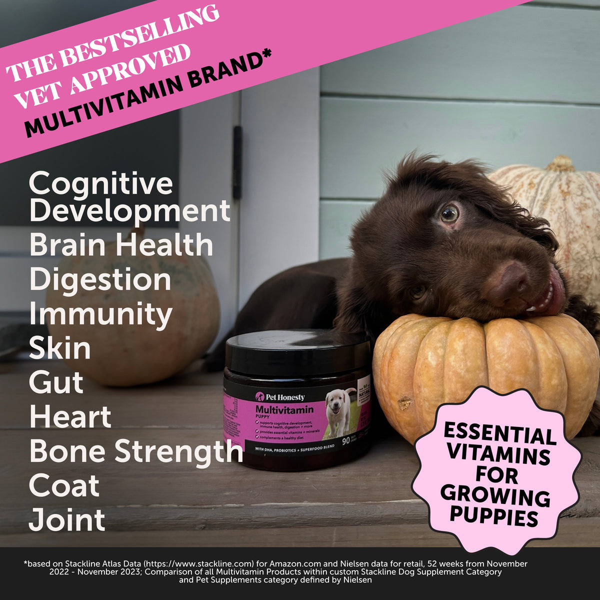 Puppy Multivitamin Chews product image 2