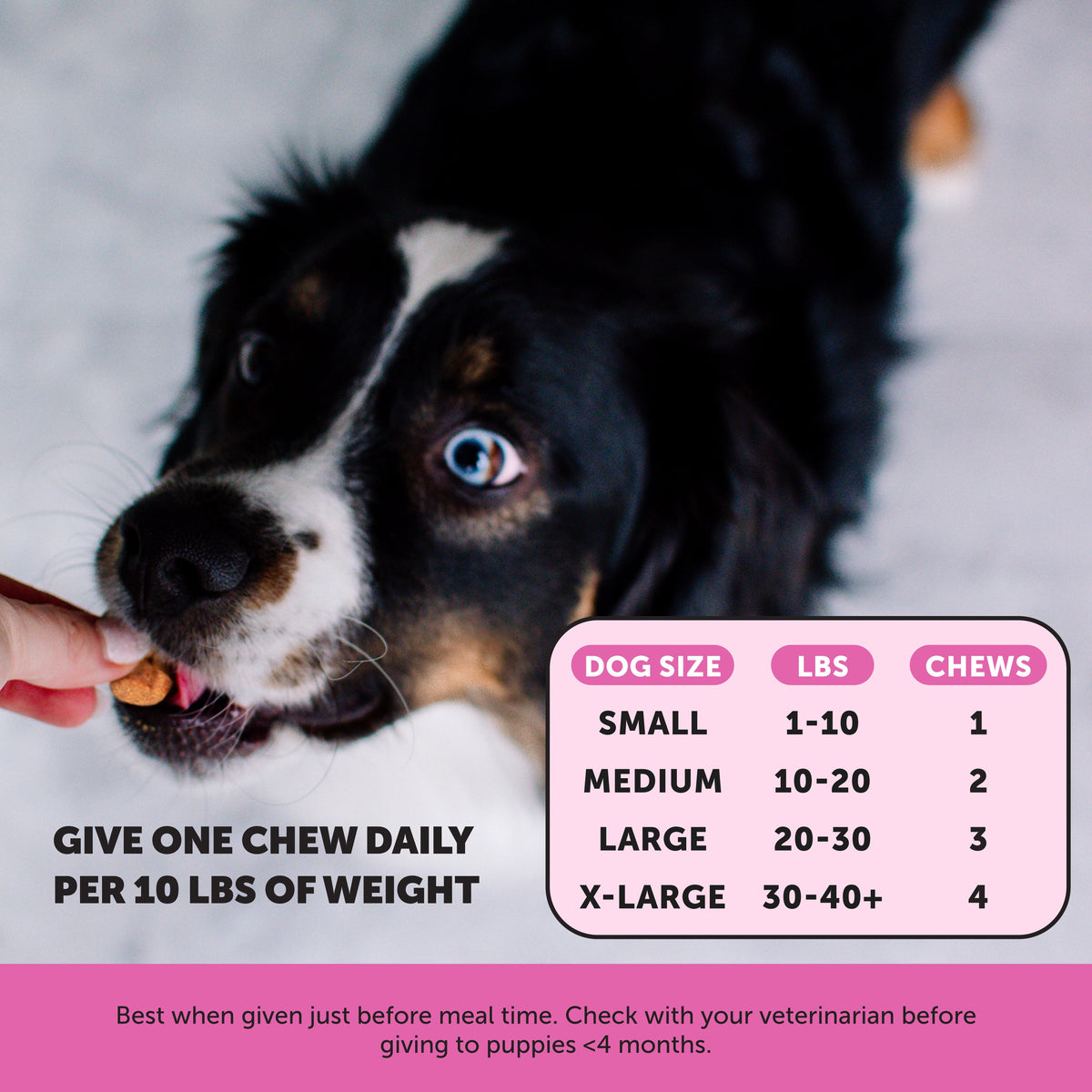 Puppy Multivitamin Chews product image 5