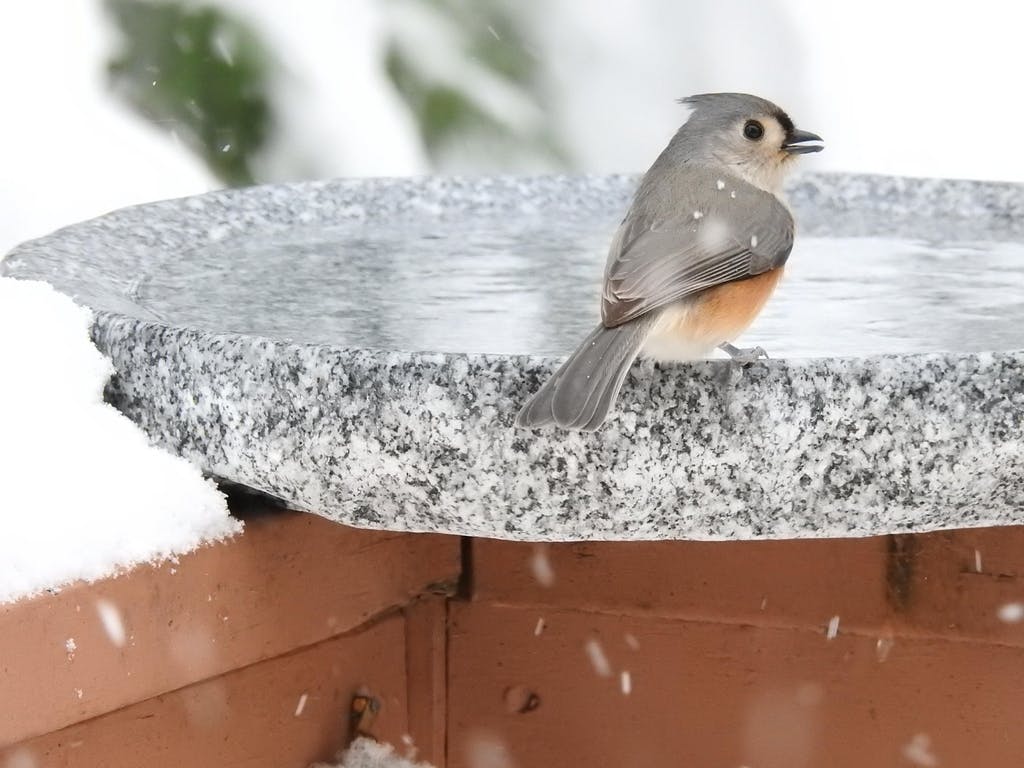 Shallow Granite Outdoor Bird Bath product image 3