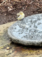 Shallow Granite Outdoor Bird Bath product image 20