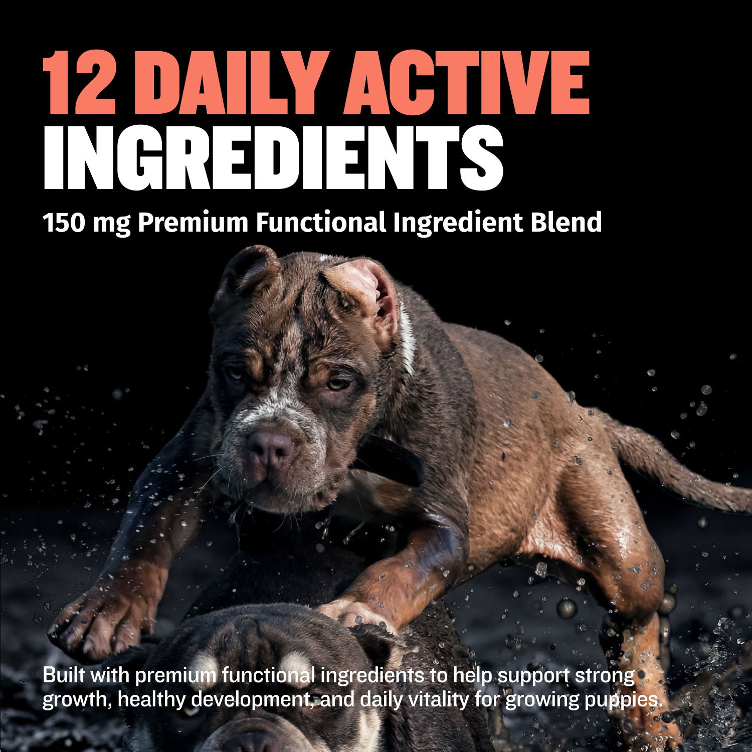 Puppy Growth and Development Multivitamin Tablets product image 4