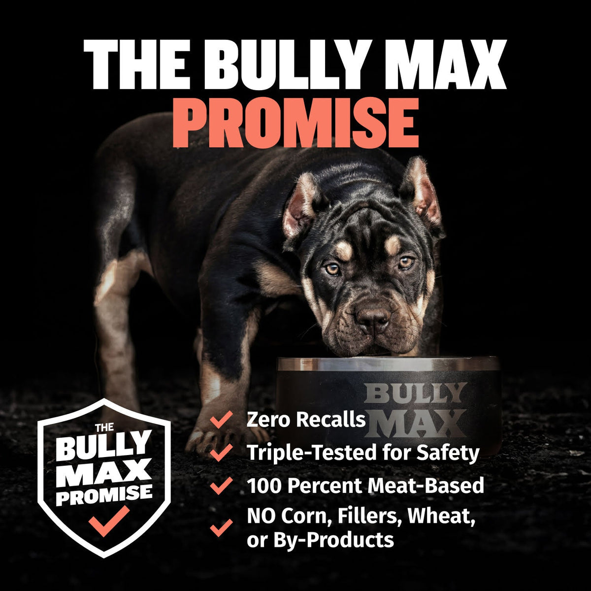 Puppy Growth and Development Multivitamin Tablets product image 7