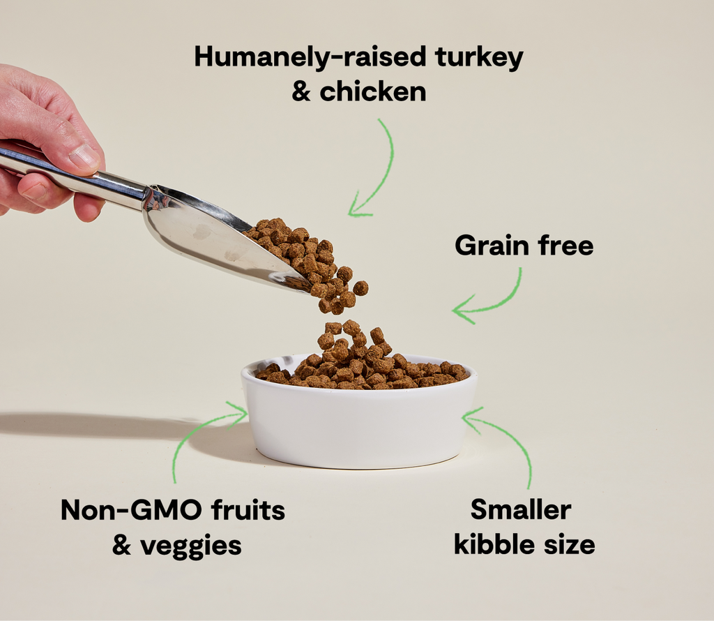Dry Dog Food product image 5