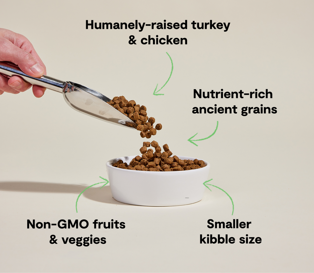 Dry Dog Food product image 5