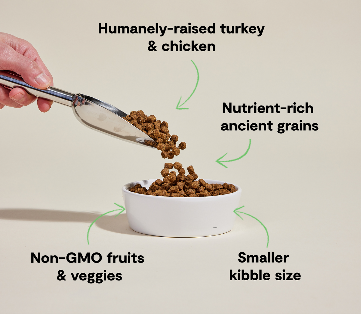Dry Dog Food product image 5