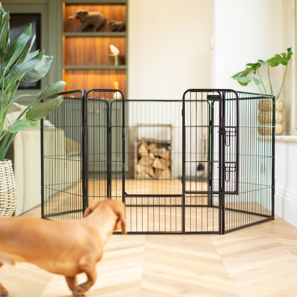 Puppy Exercise Pen product image 5