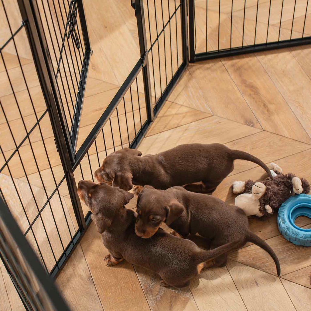 Puppy Exercise Pen product image 7