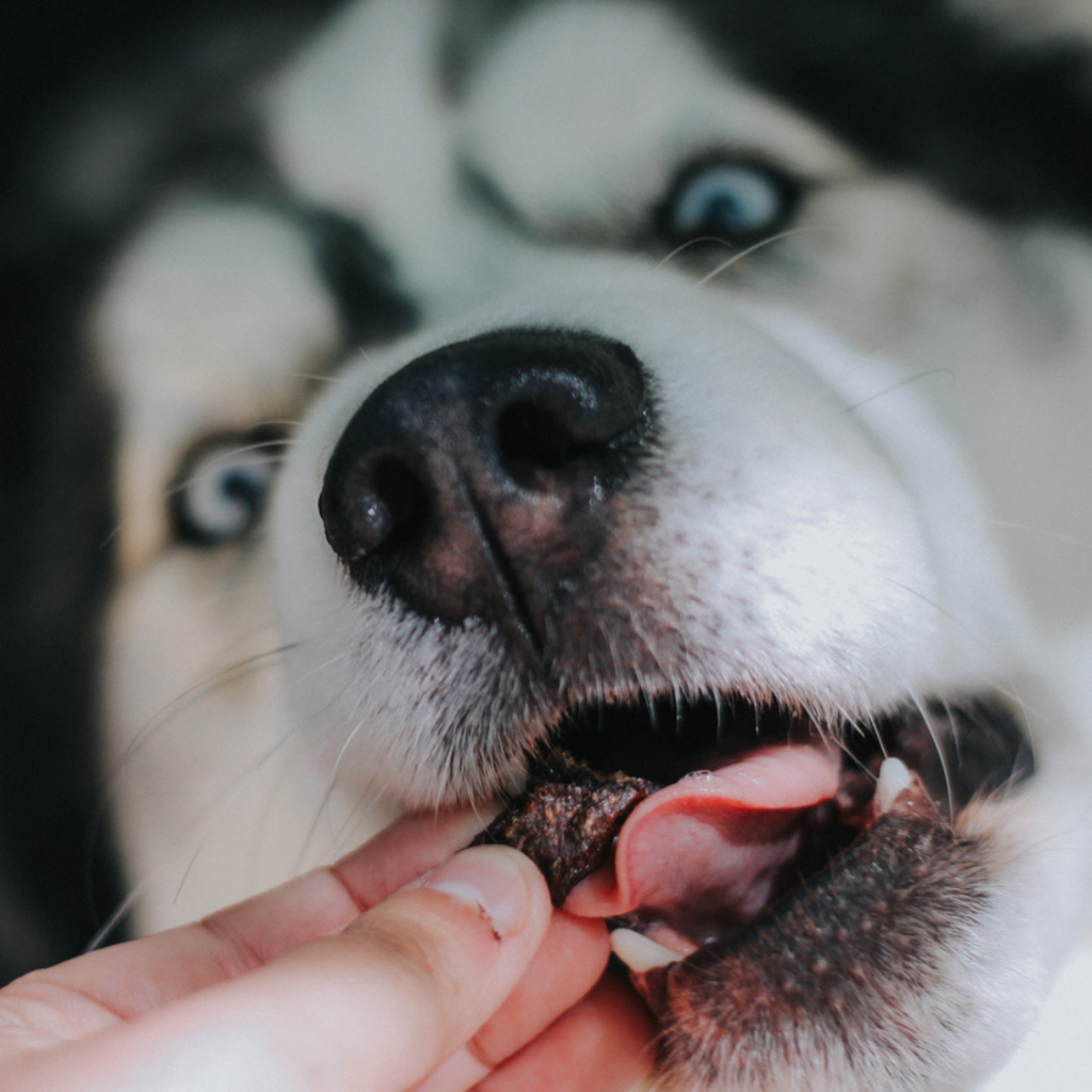 Dehydrated Dog Treats product image 6