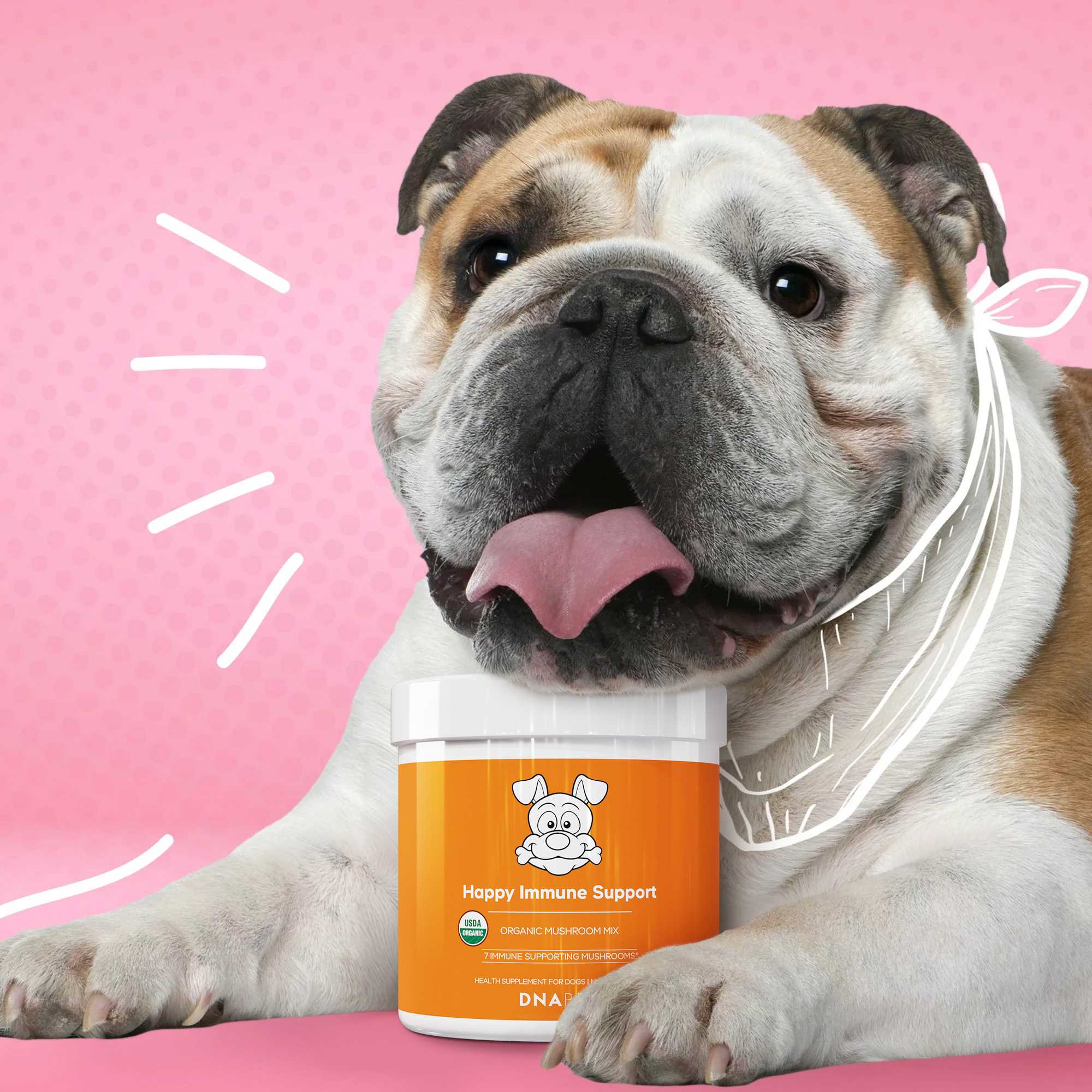 Immunity supplements for dogs organic mushroom powder USDA certified DNA PET