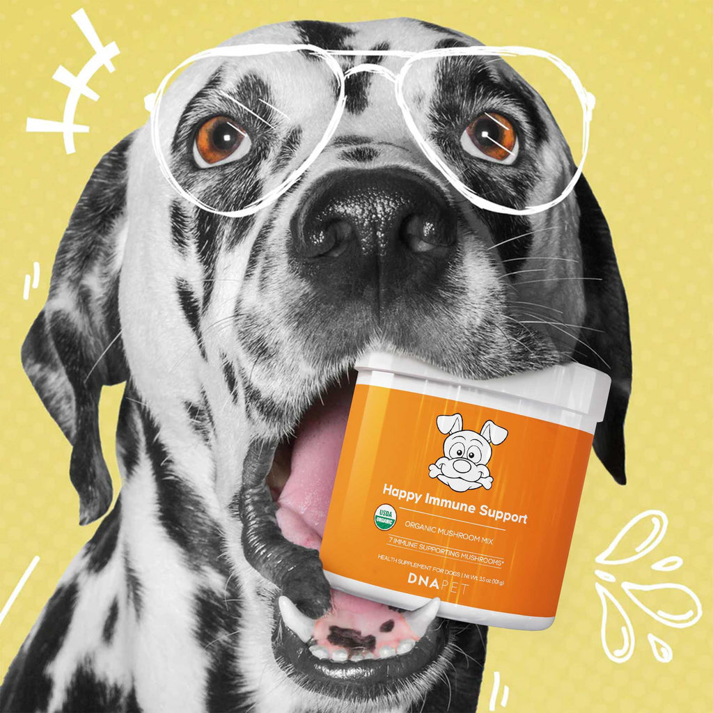 Immunity supplements for dogs organic mushroom powder USDA certified DNA PET