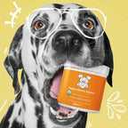 Immunity supplements for dogs organic mushroom powder USDA certified DNA PET