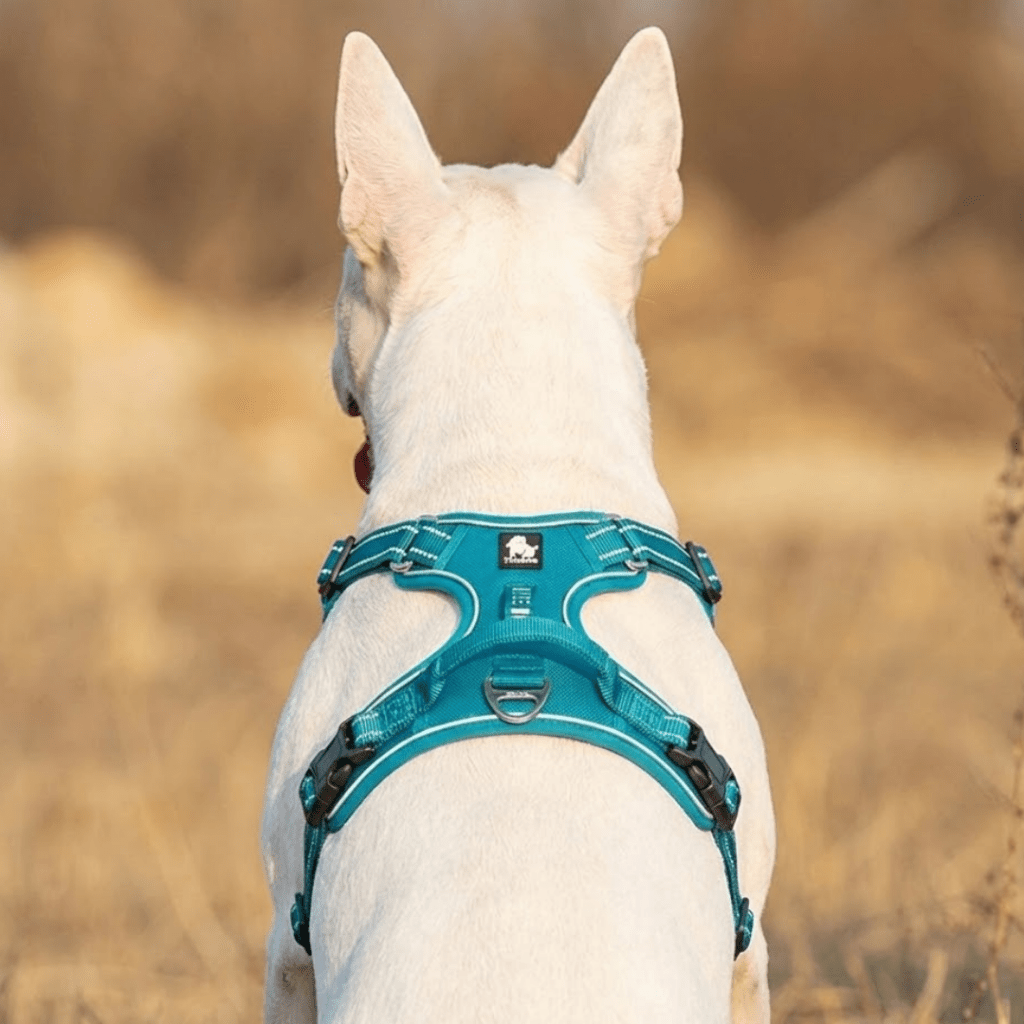 No-Pull Dog Harness product image 2