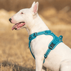 No-Pull Dog Harness product image 8