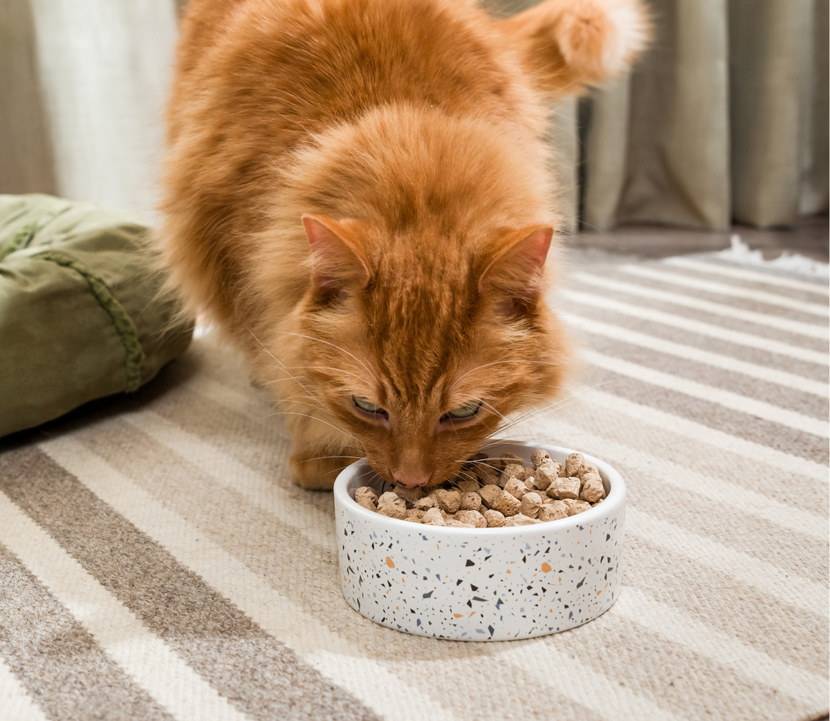 Freeze-Dried Cat Food product image 5