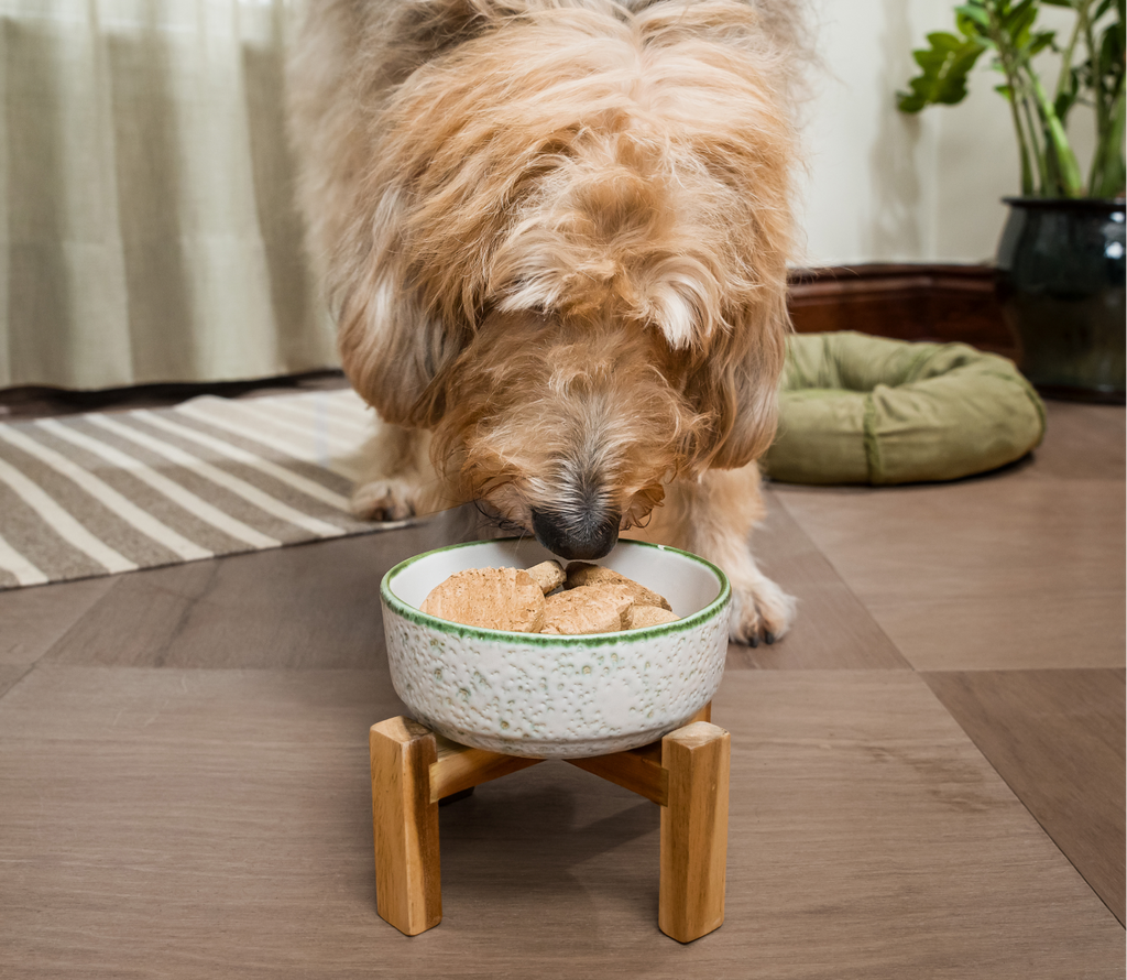Freeze-Dried Dog Food product image 5