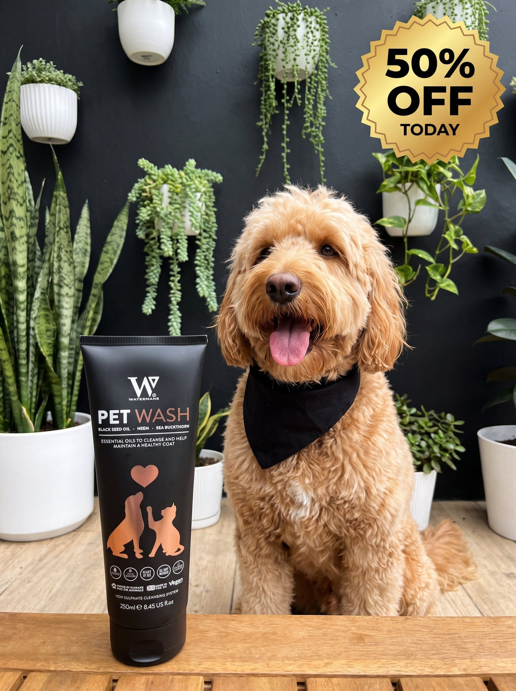 Dog Shampoo product image 8
