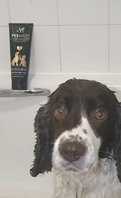Dog Shampoo product image 13