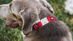 Dog Collar Tag product image 2