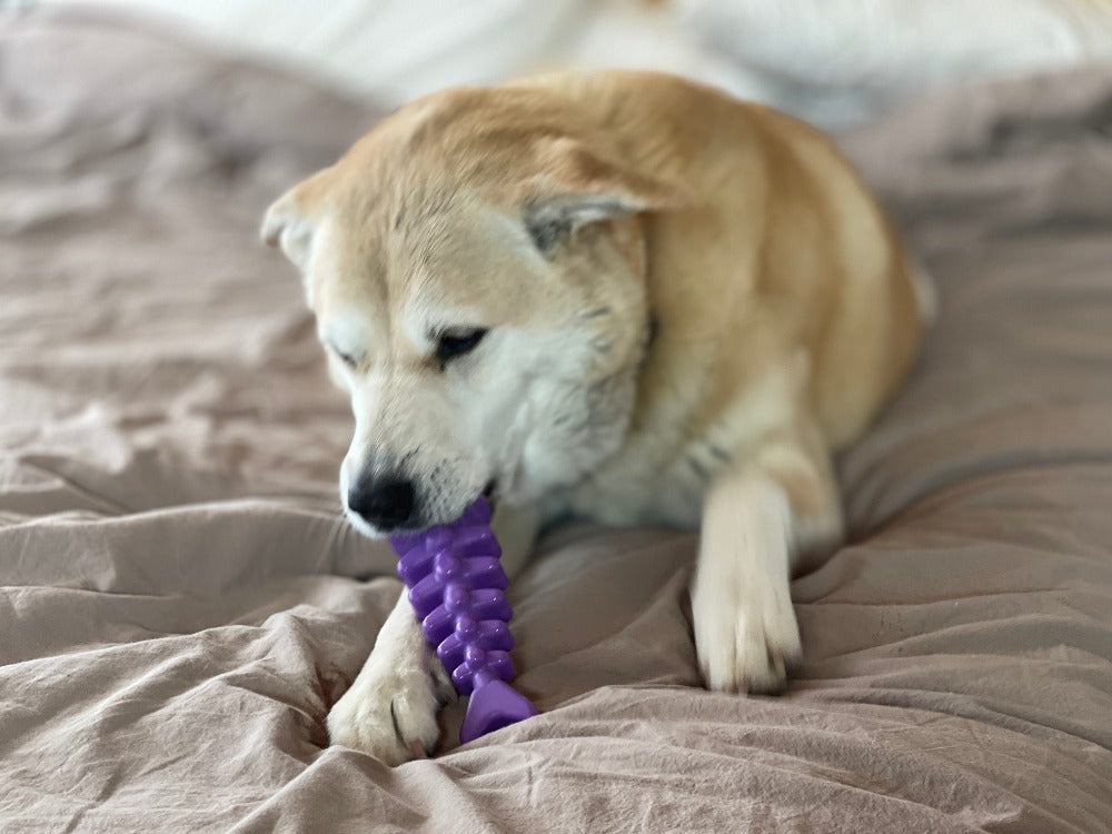 Nylon Dog Toy product image 8