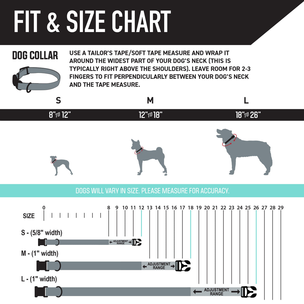 Dog Leash product image 4