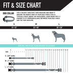 Dog Leash product image 4